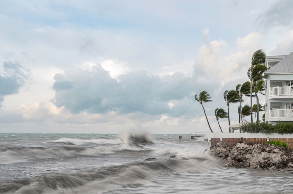 a windy beach in florida